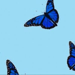 Meet your Posher, Avree